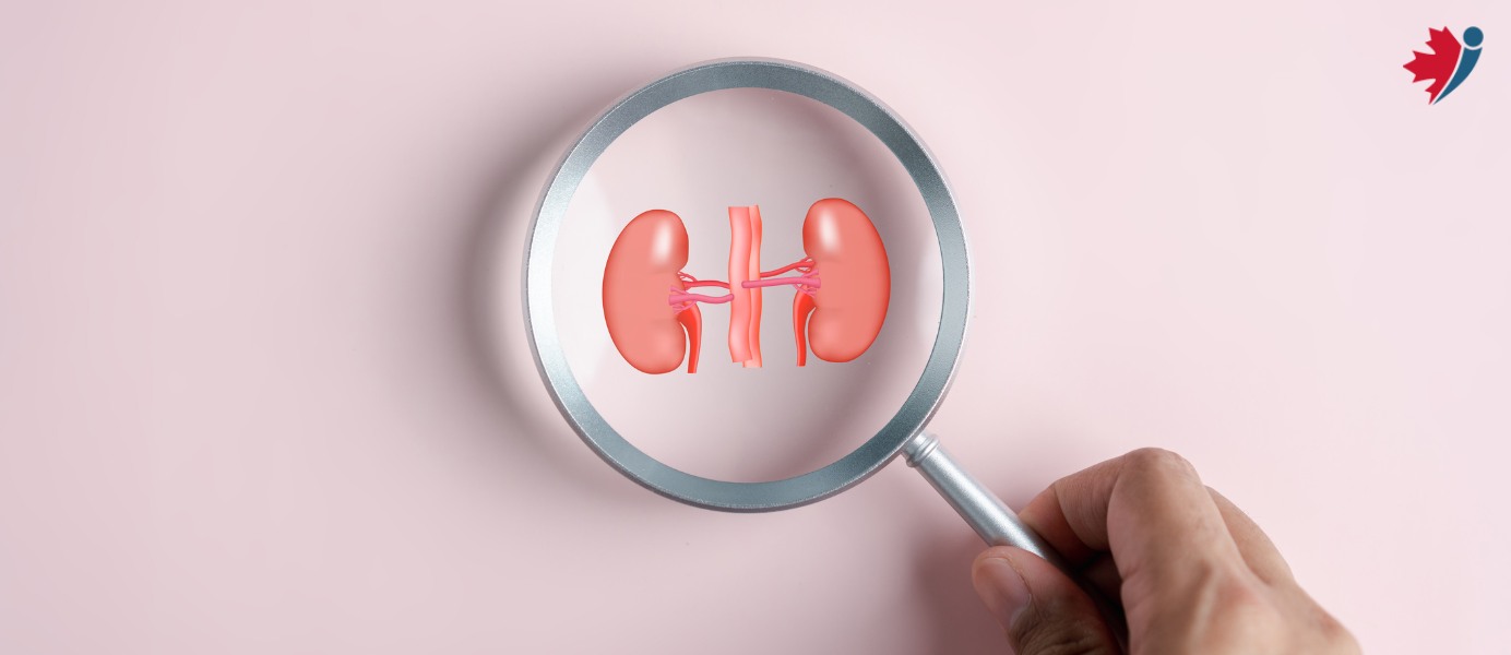 is eliquis good for kidneys blog banners